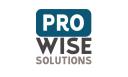 ProWise Cleaning logo